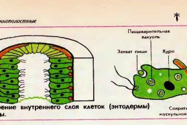 Куплю марихуану бошки гашиш